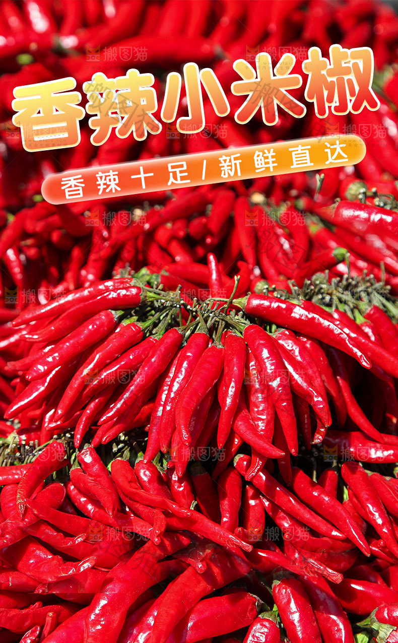 红小米辣详情页