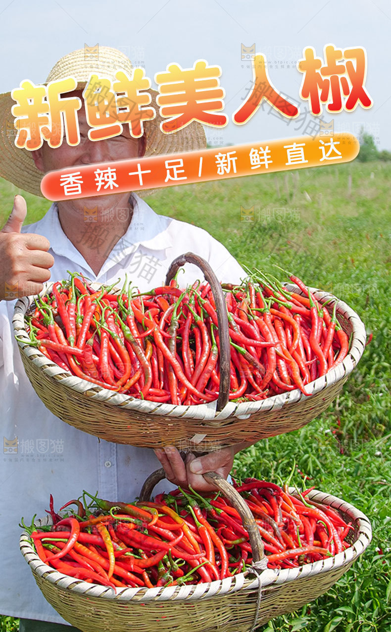 美人椒详情页