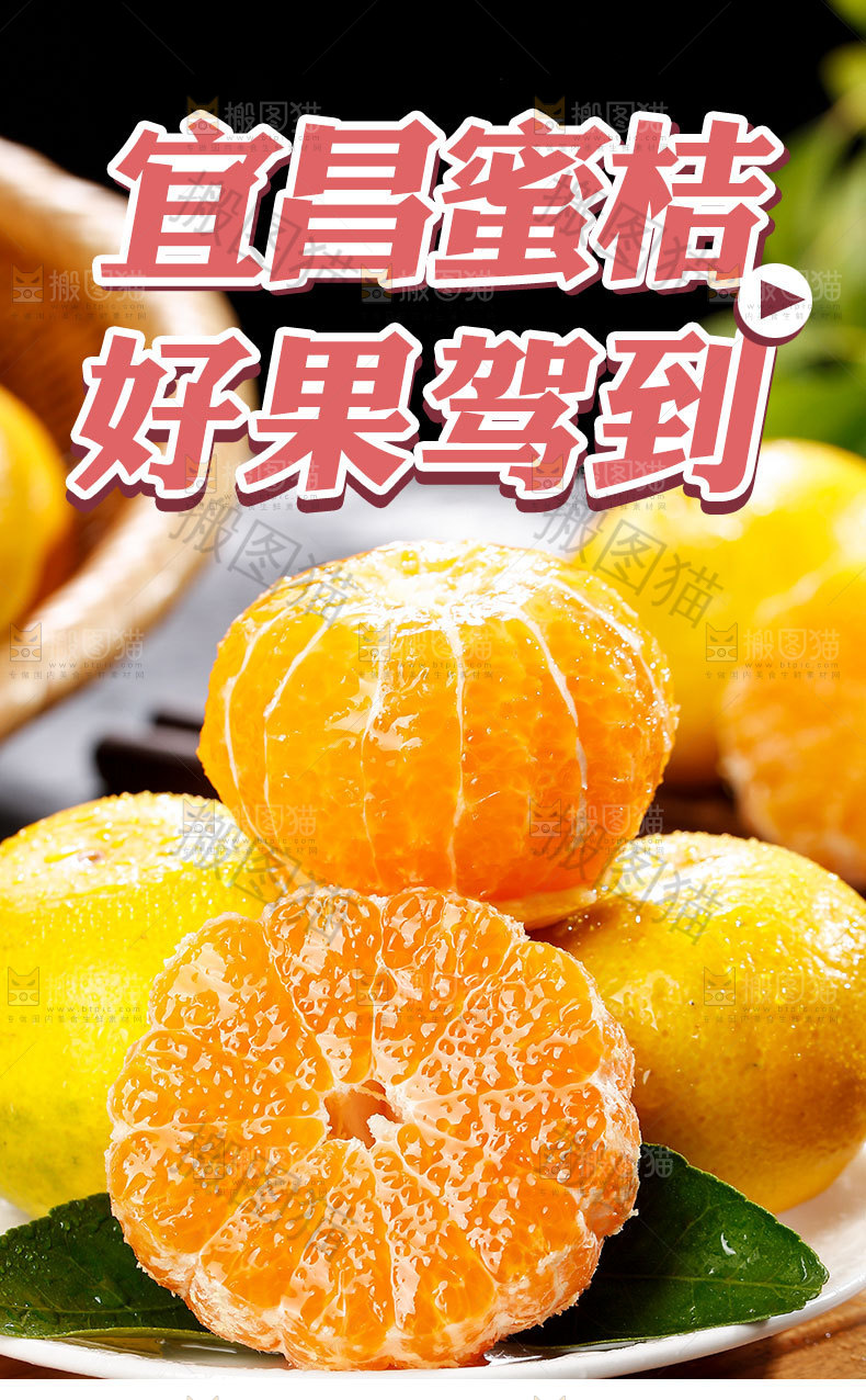 宜昌蜜桔详情页