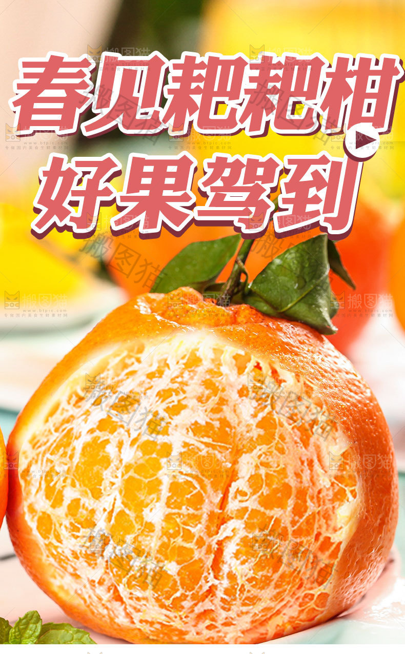 春见耙耙柑详情页