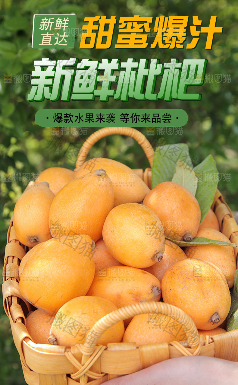新鲜枇杷详情页