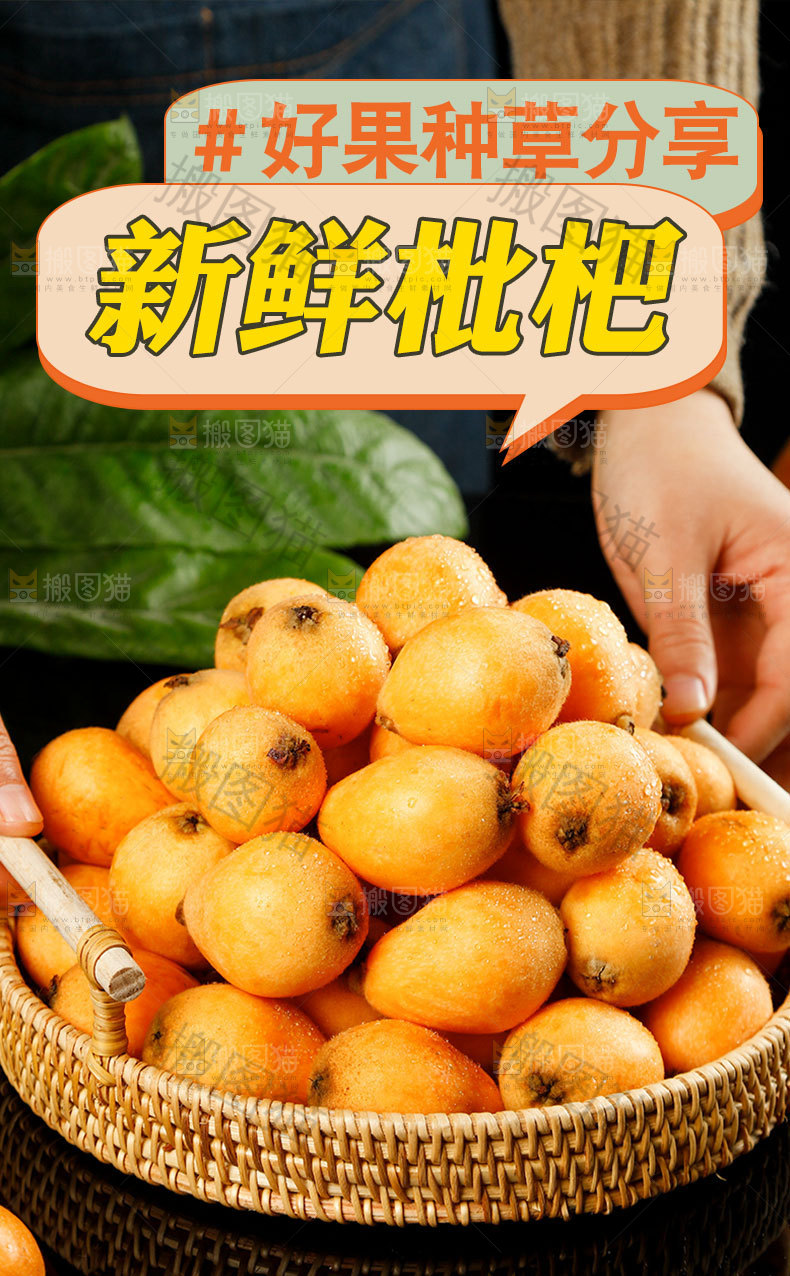 枇杷果详情页