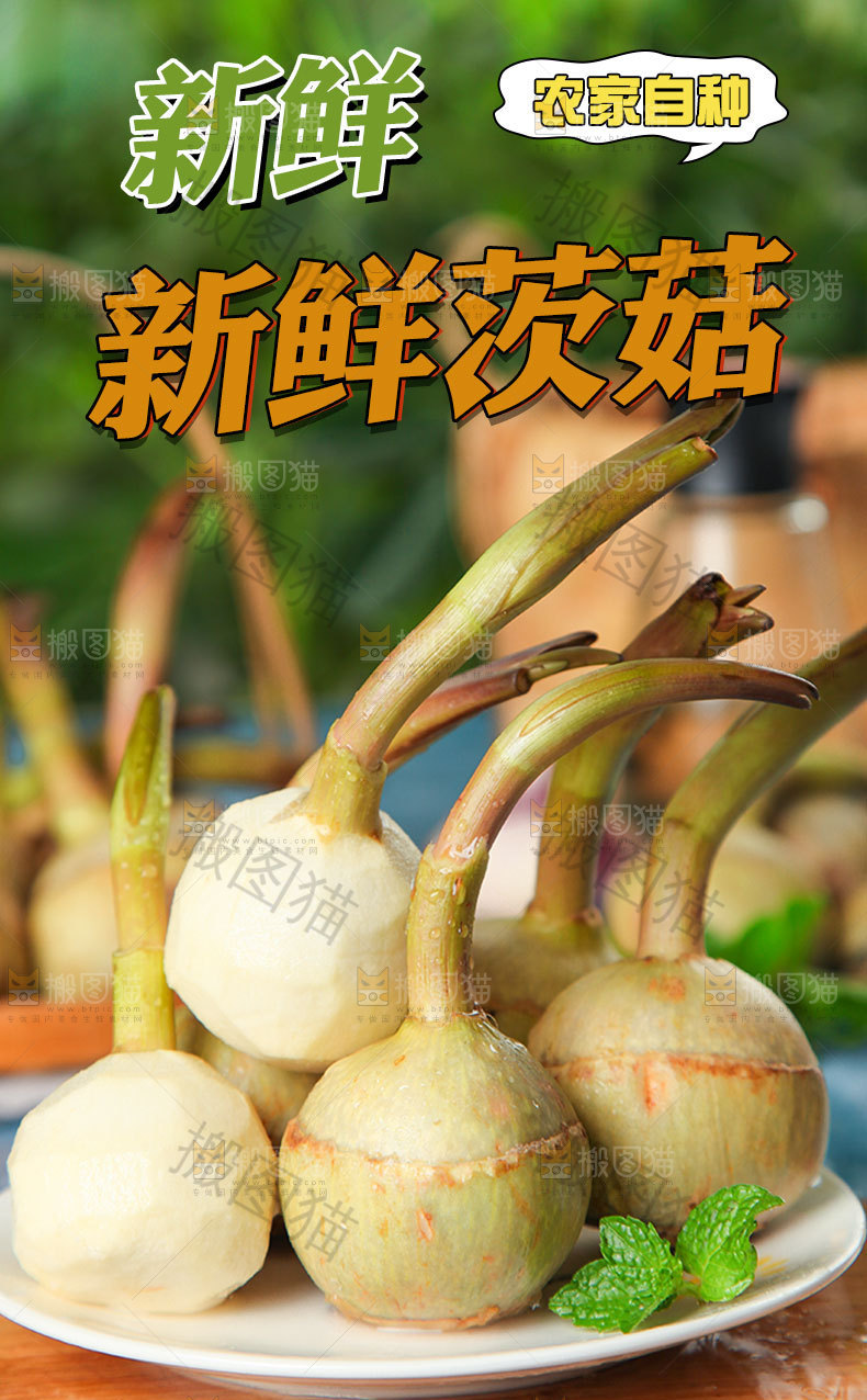 茨菇详情页设计