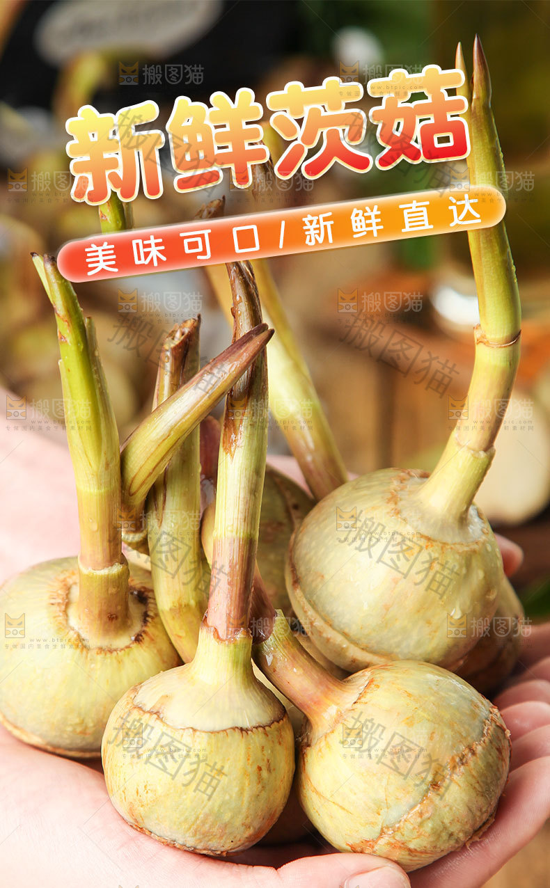 茨菇详情页设计