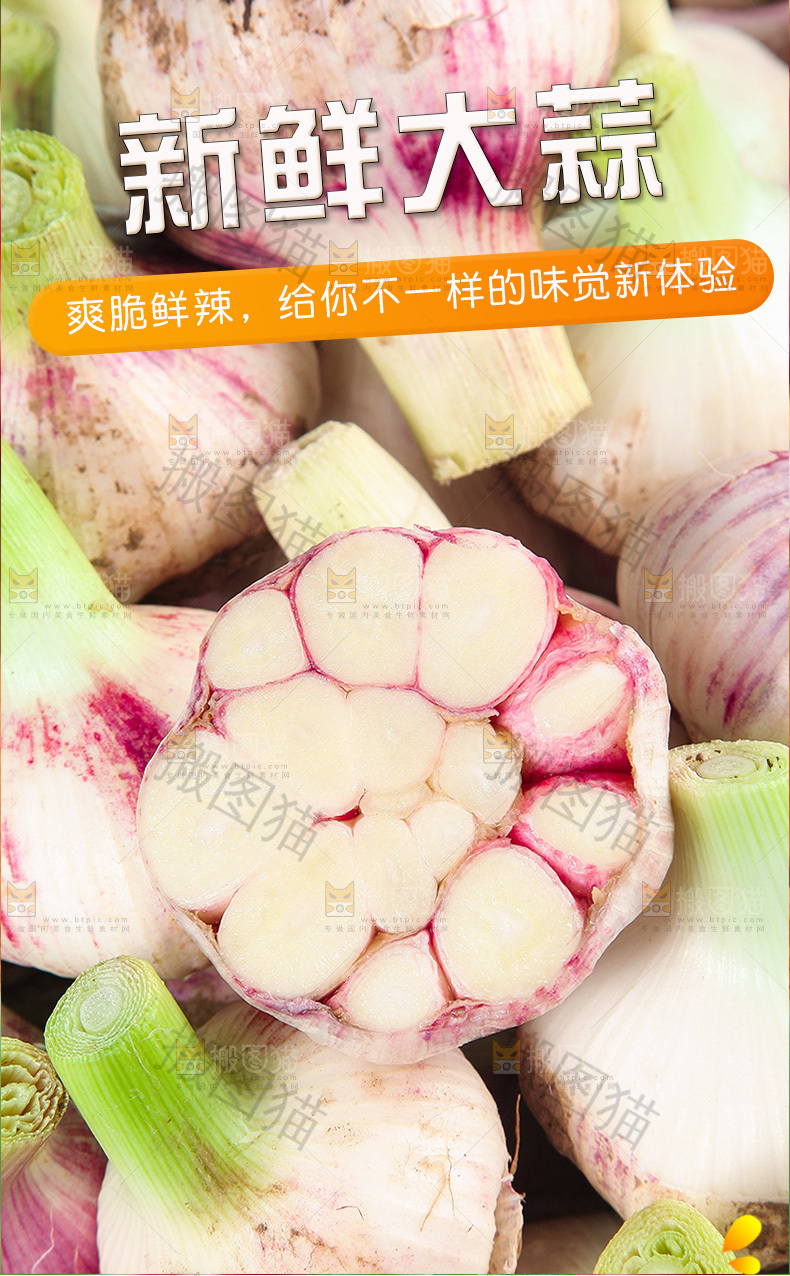 新鲜大蒜详情页