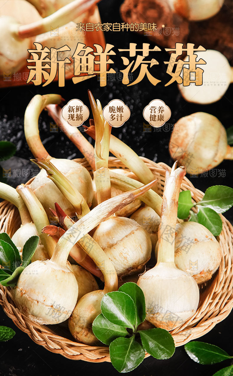 新鲜茨菇详情页设计