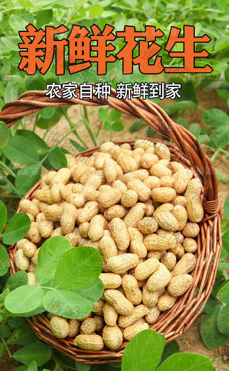 花生详情页设计