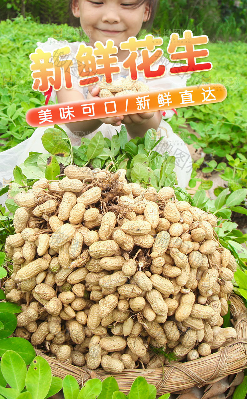 花生详情页设计