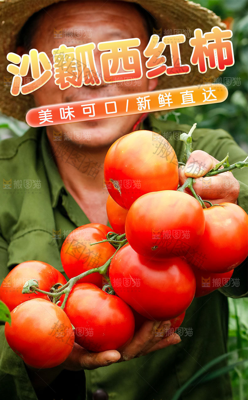 沙瓤西红柿详情页