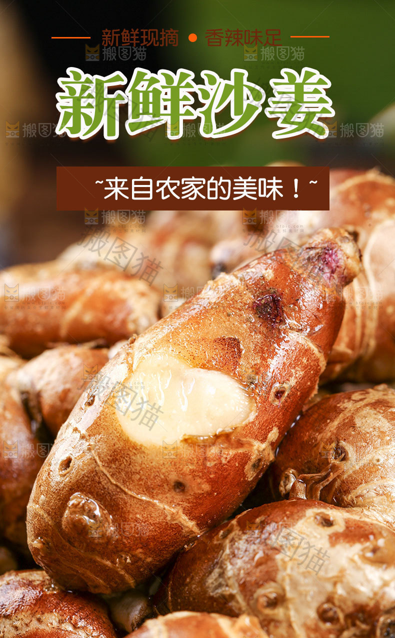 沙姜详情页设计