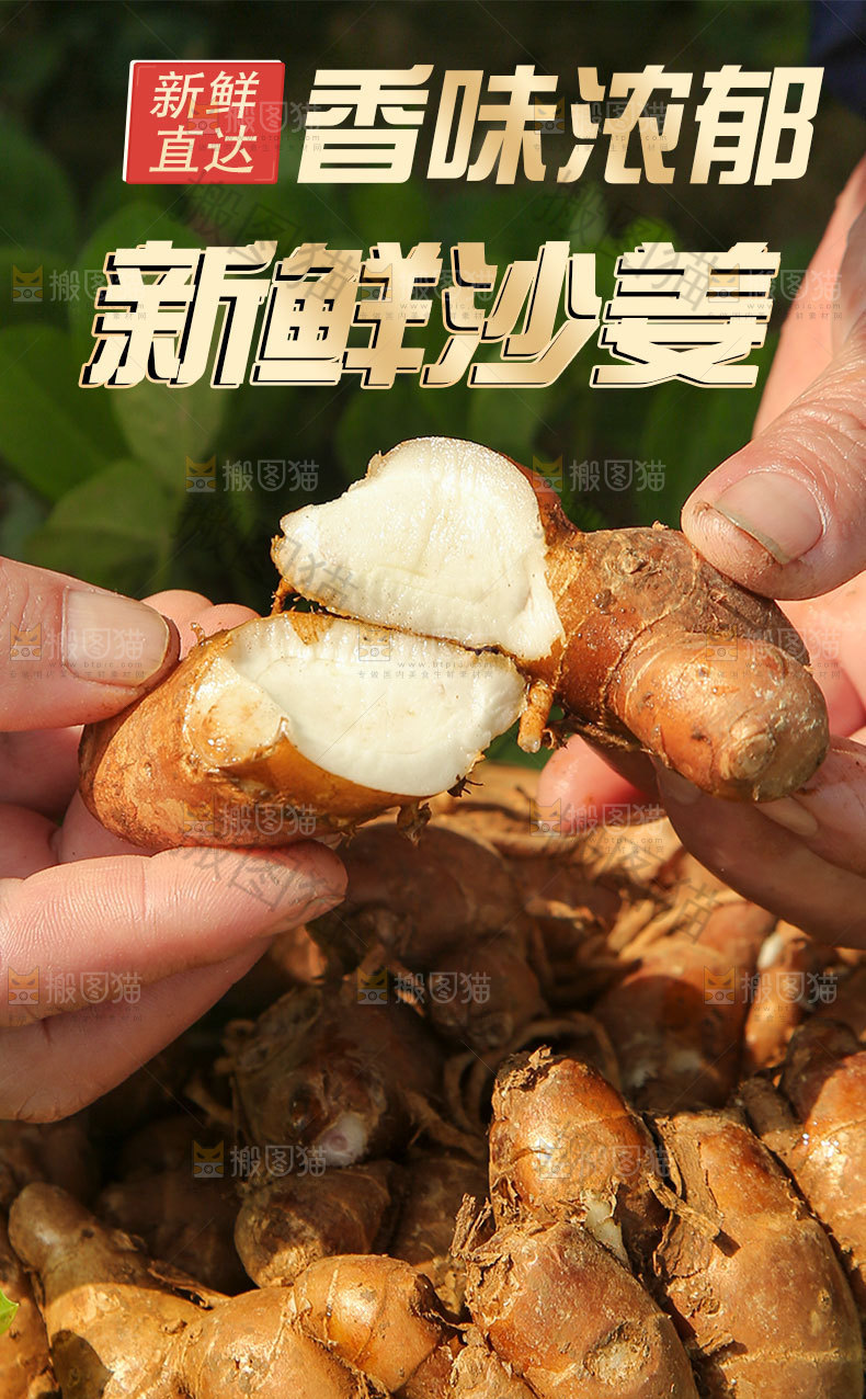 沙姜详情页设计