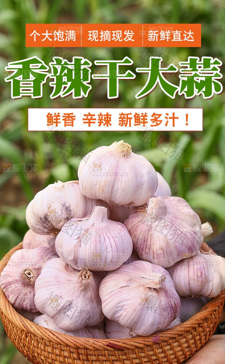 紫皮干大蒜详情页