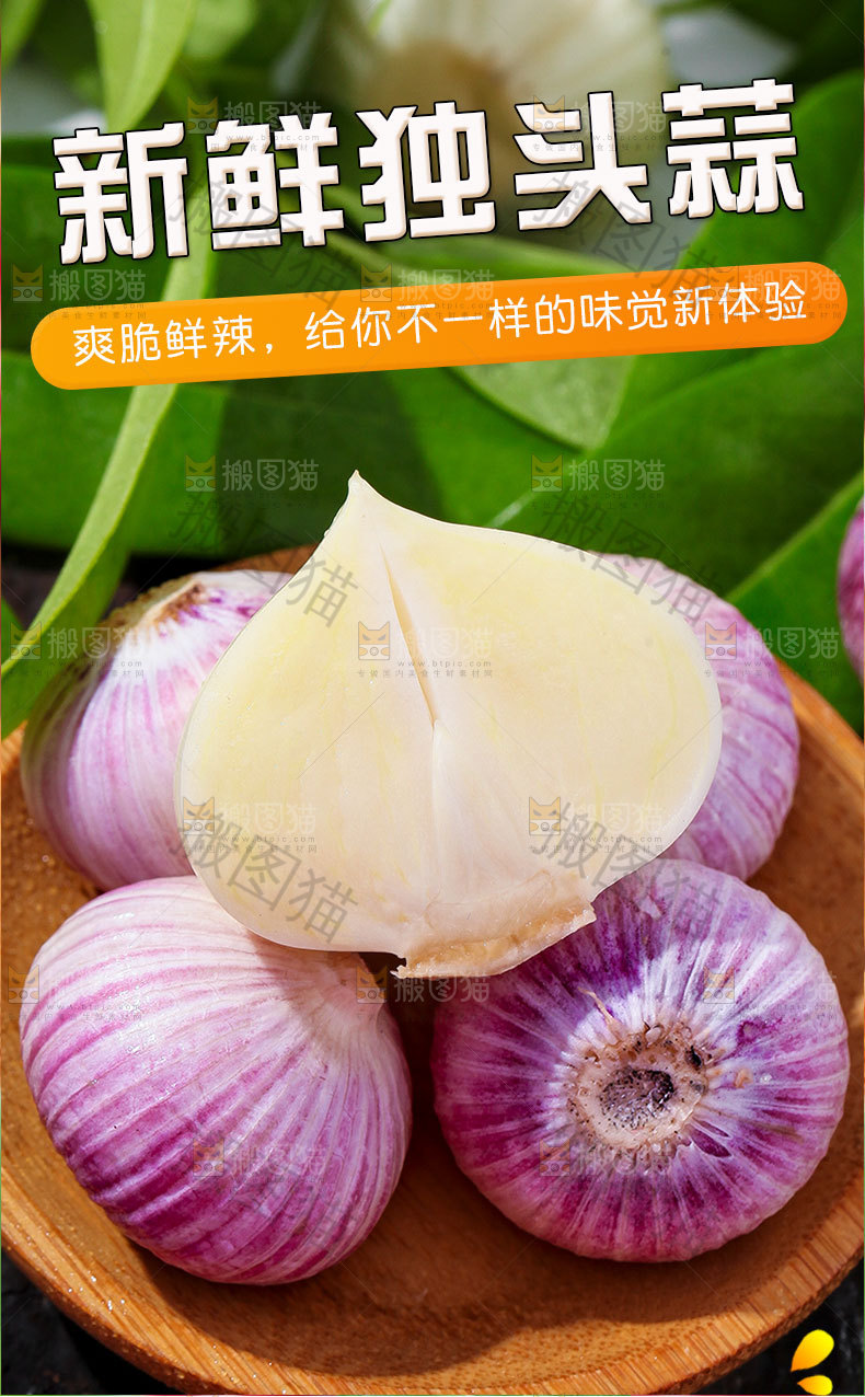 新鲜独头蒜详情
