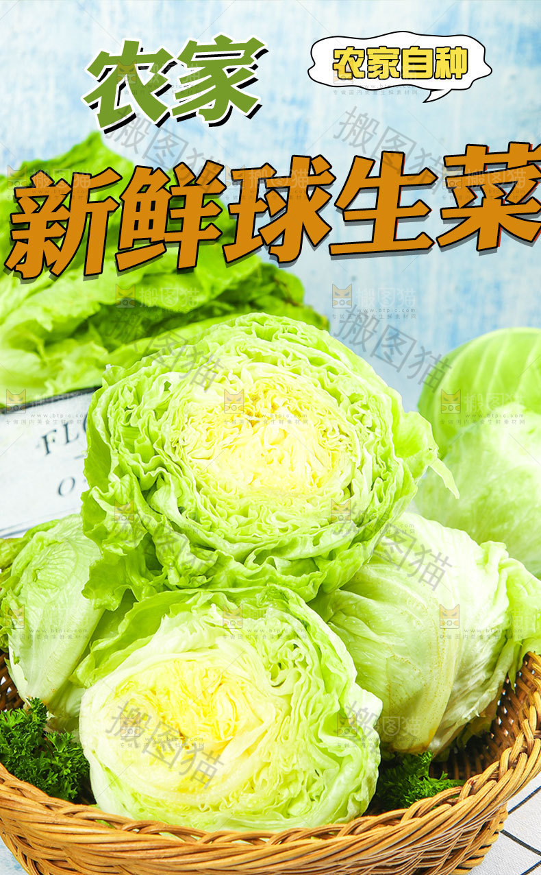 球生菜详情页