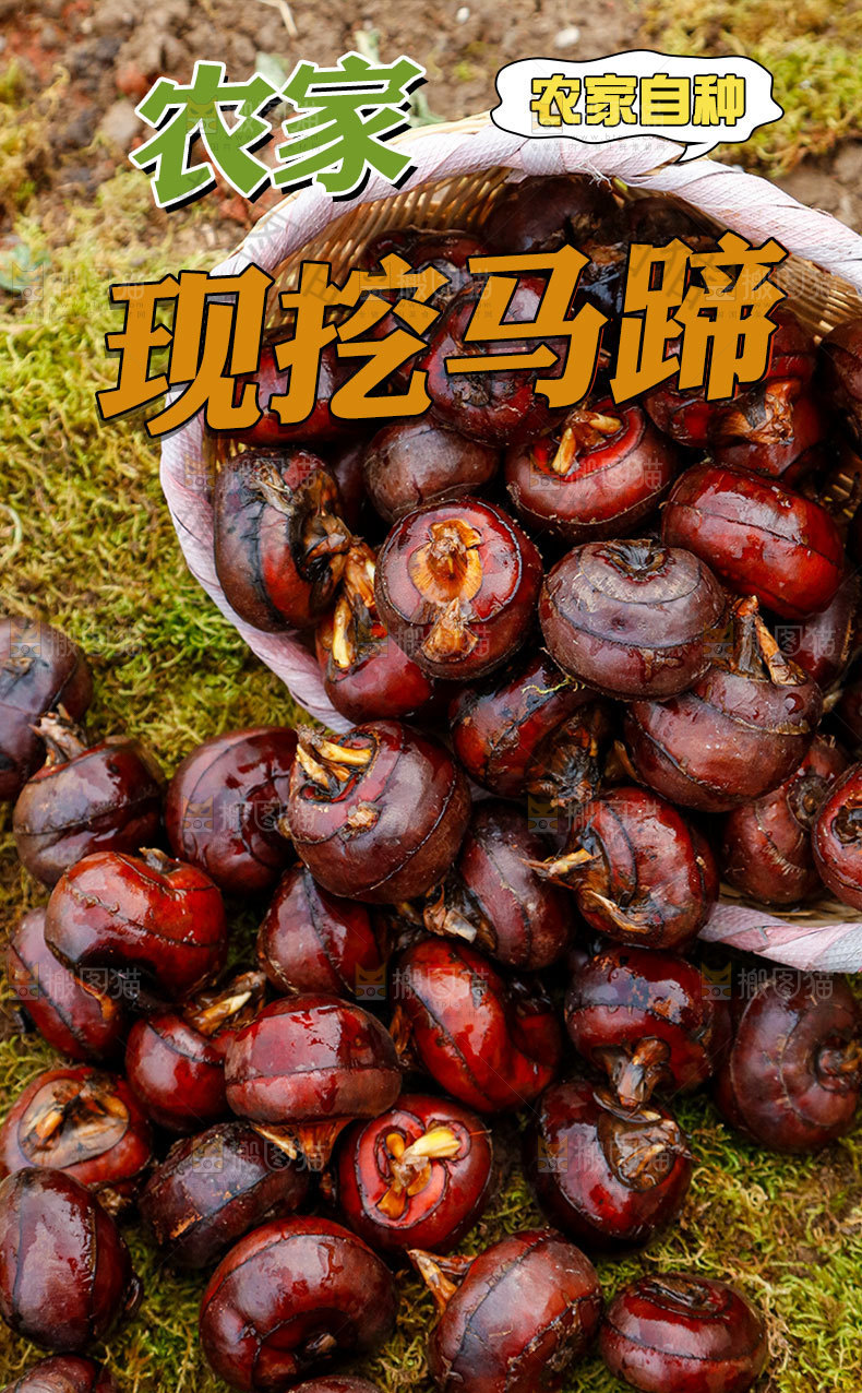 马蹄详情页设计