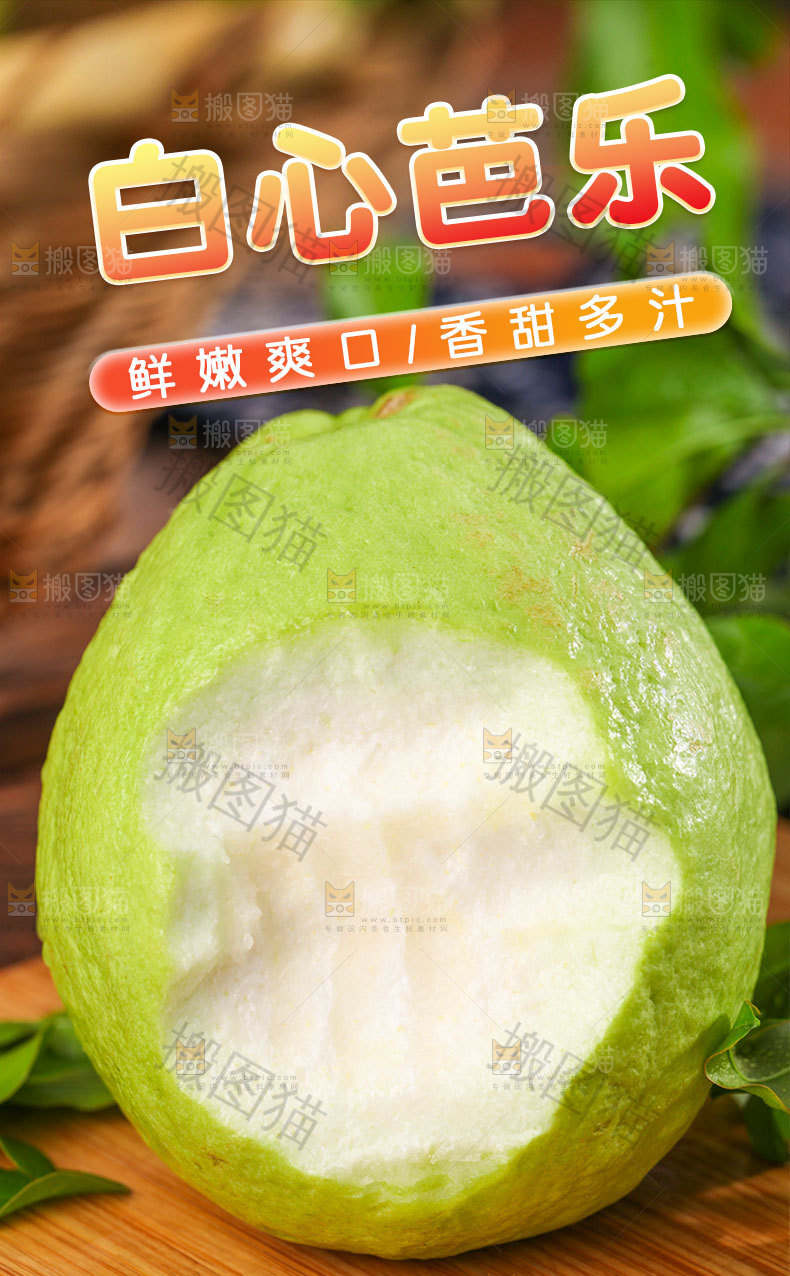 白心芭乐详情