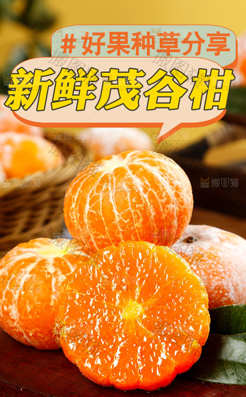 新鲜茂谷柑详情
