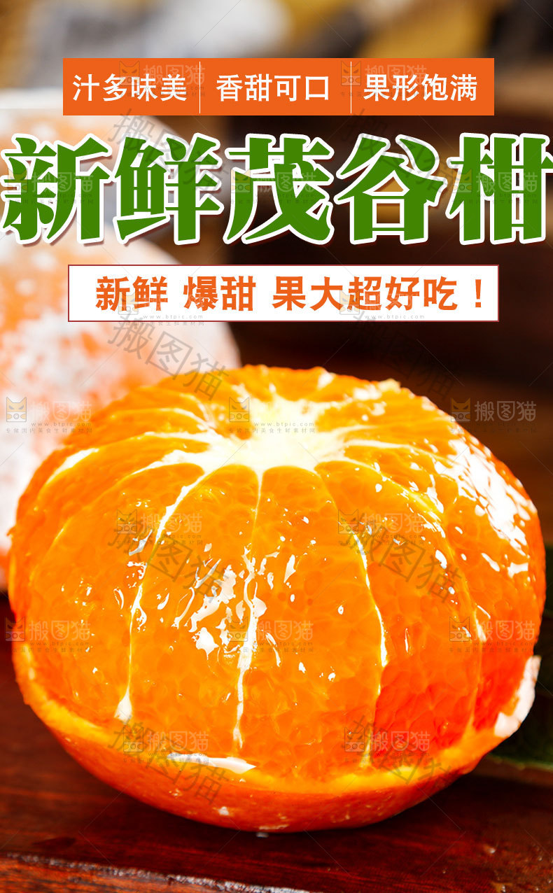 新鲜茂谷柑详情页