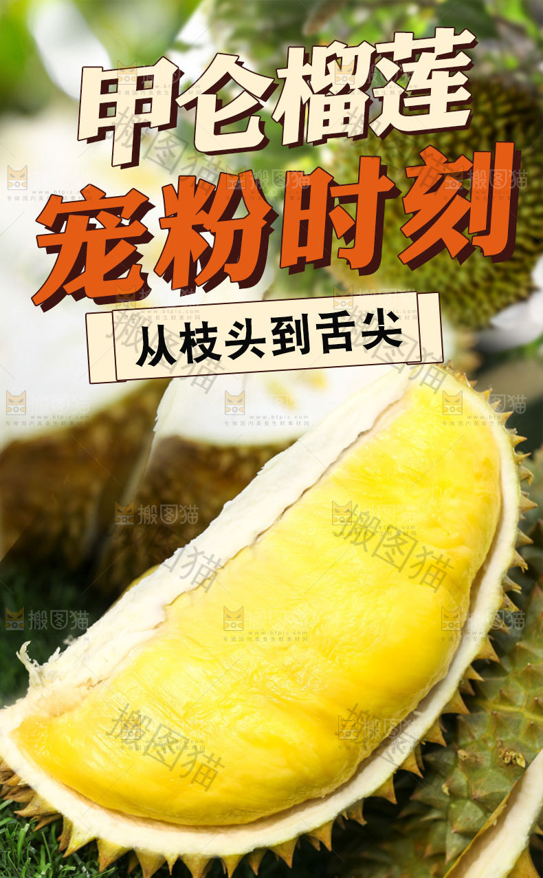 甲仑榴莲详情页设计