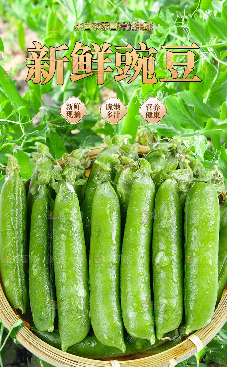 青豌豆详情页