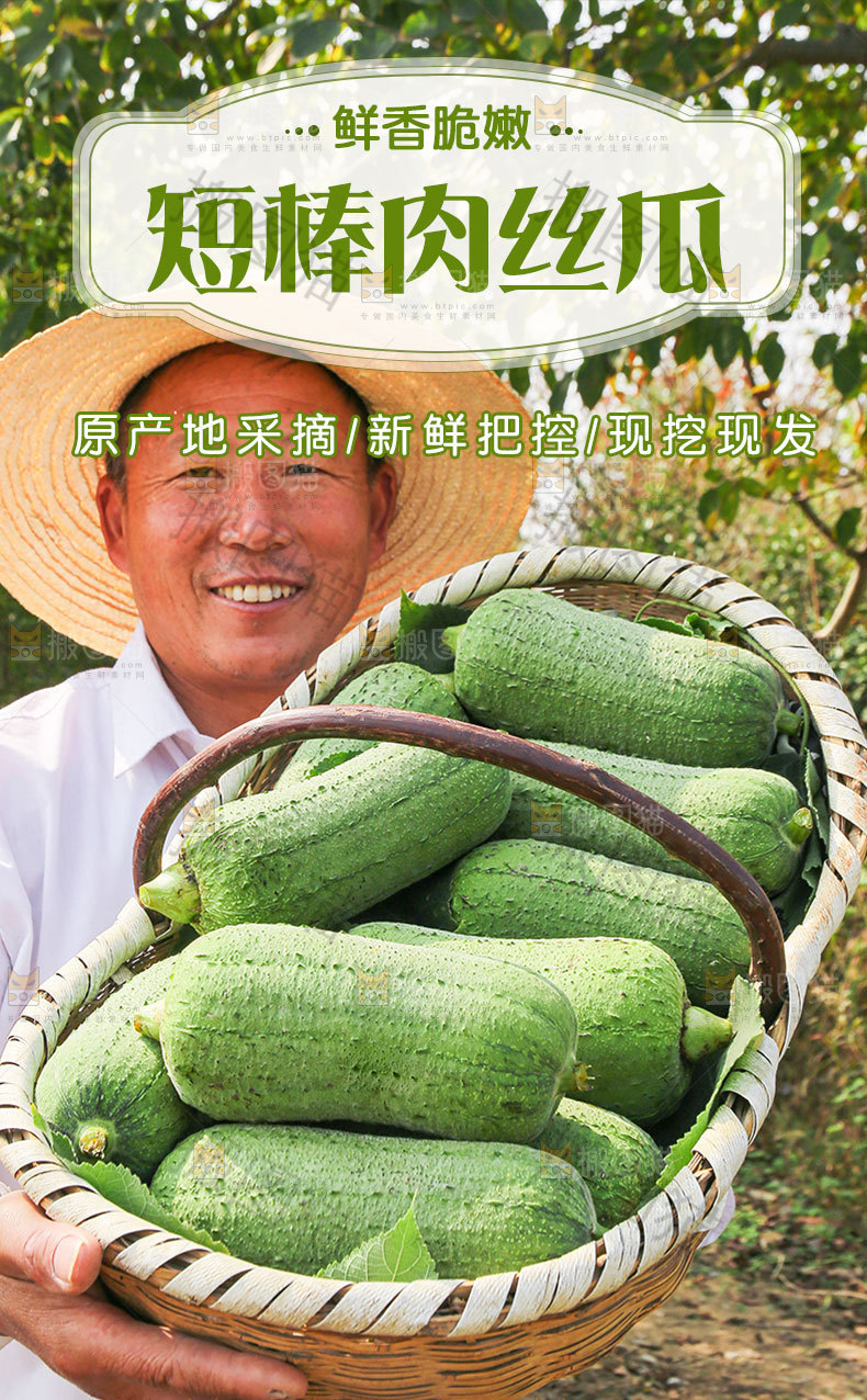 肉丝瓜详情页
