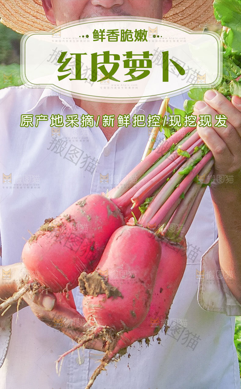 红萝卜详情页设计
