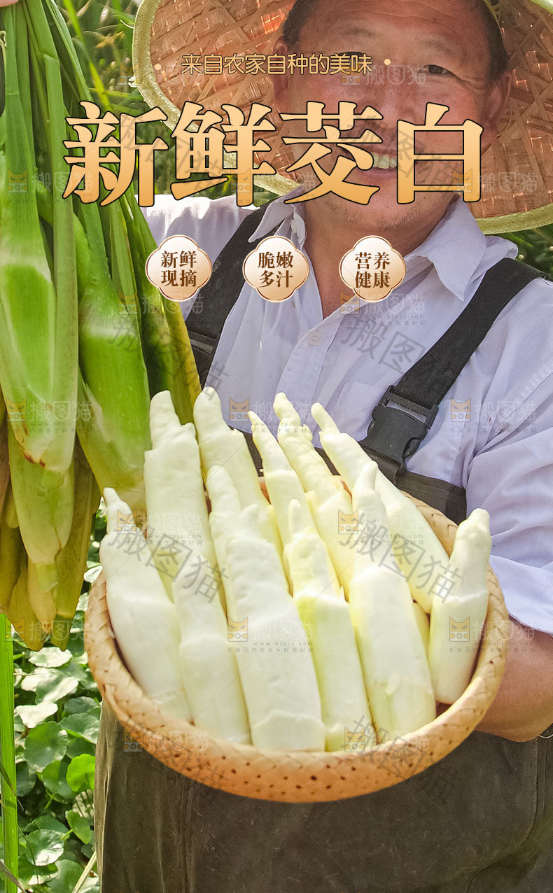 茭笋详情页设计