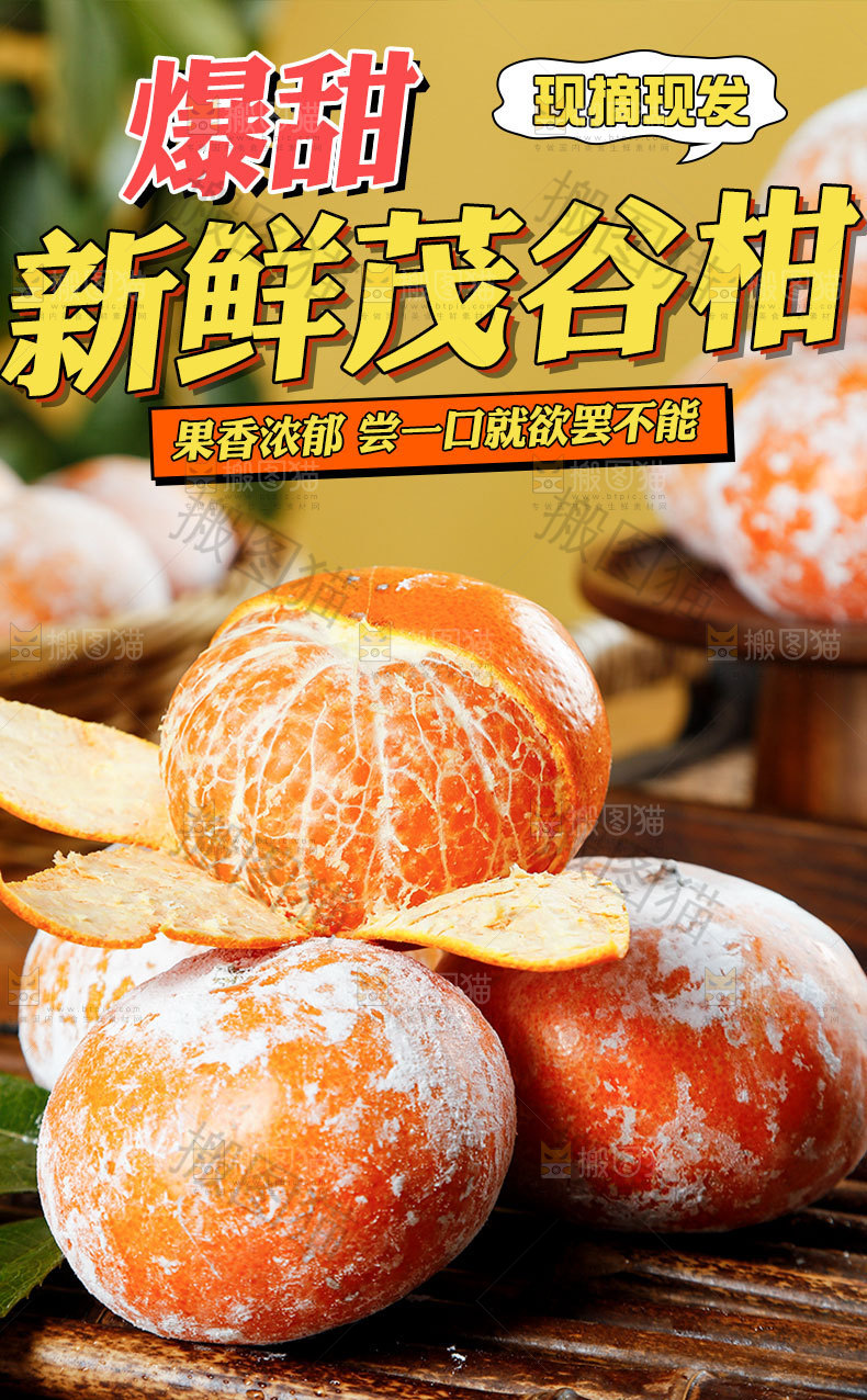 新鲜茂谷柑详情页