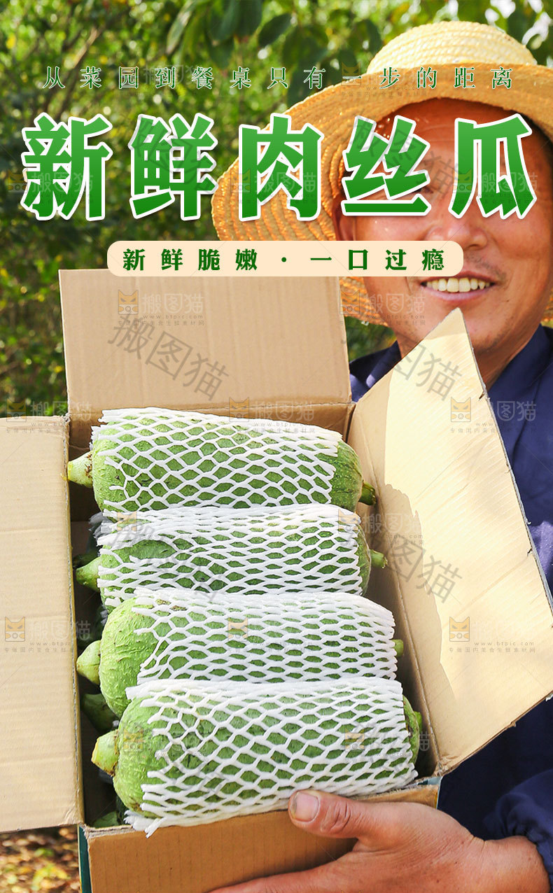 肉丝瓜详情页