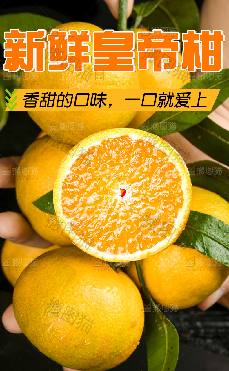 皇帝贡柑详情页