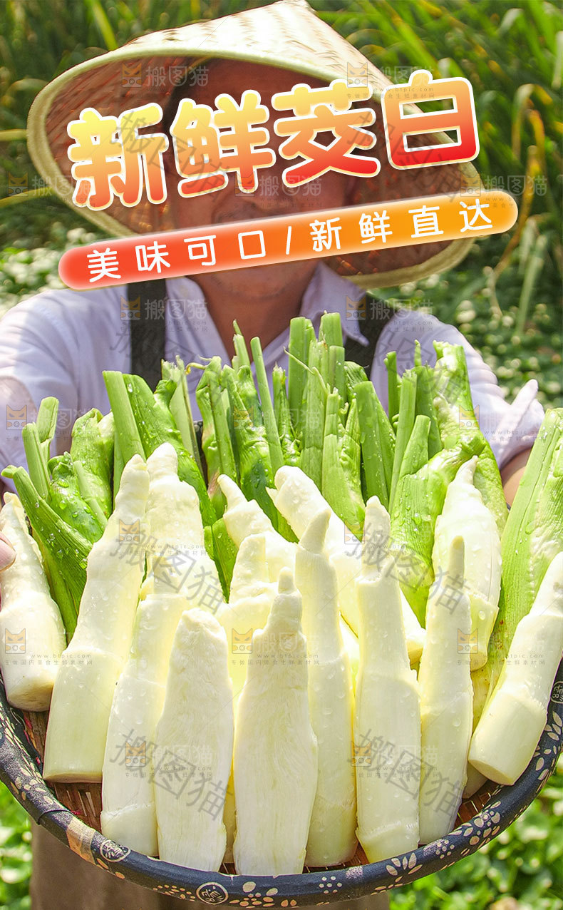 茭白详情页设计