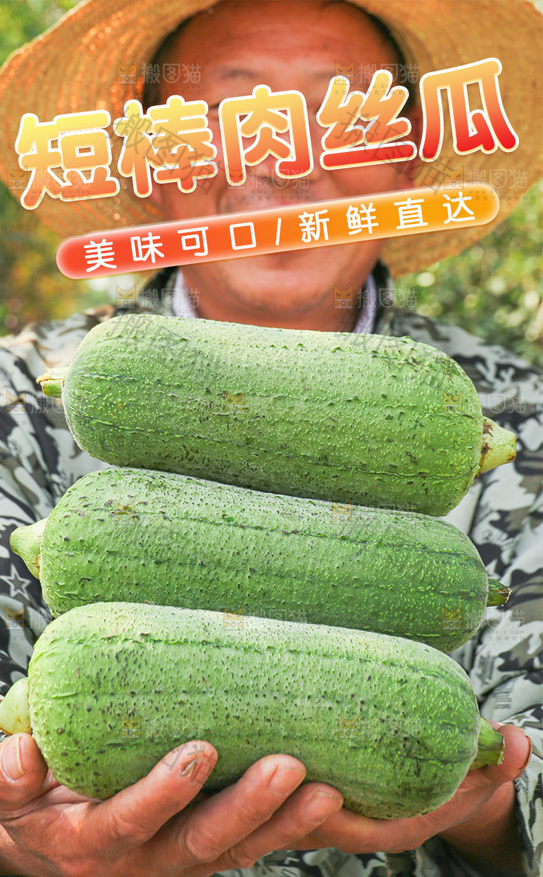 新鲜肉丝瓜详情页