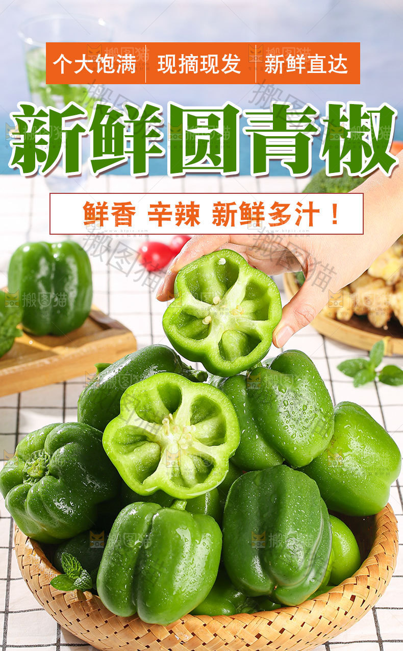 新鲜青圆椒详情页