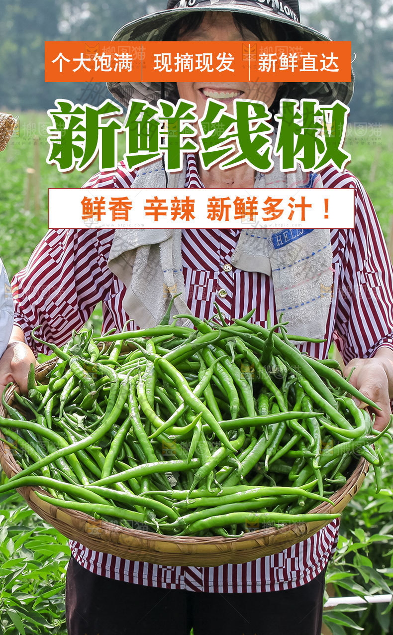 青线椒详情页