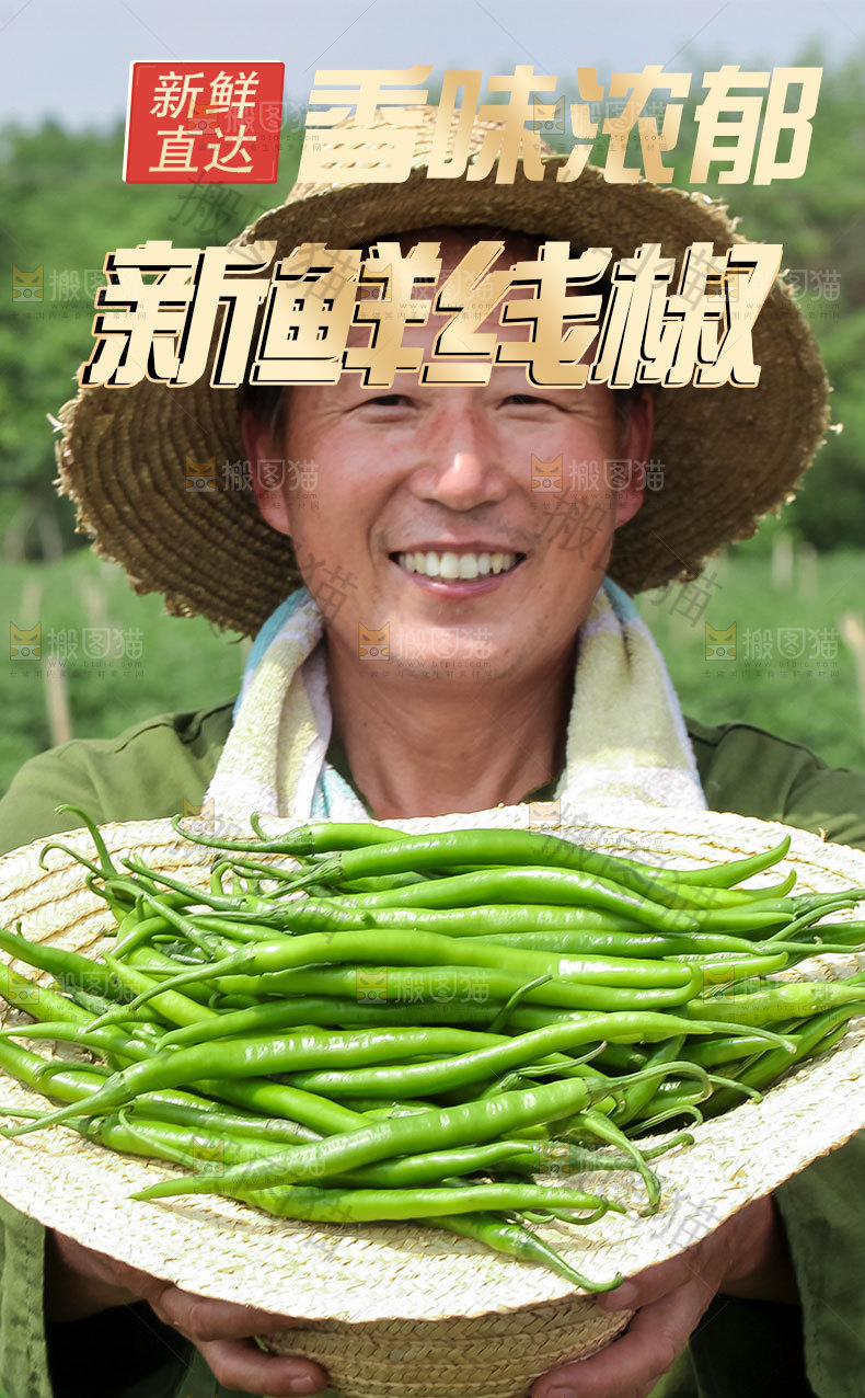 新鲜线椒详情页