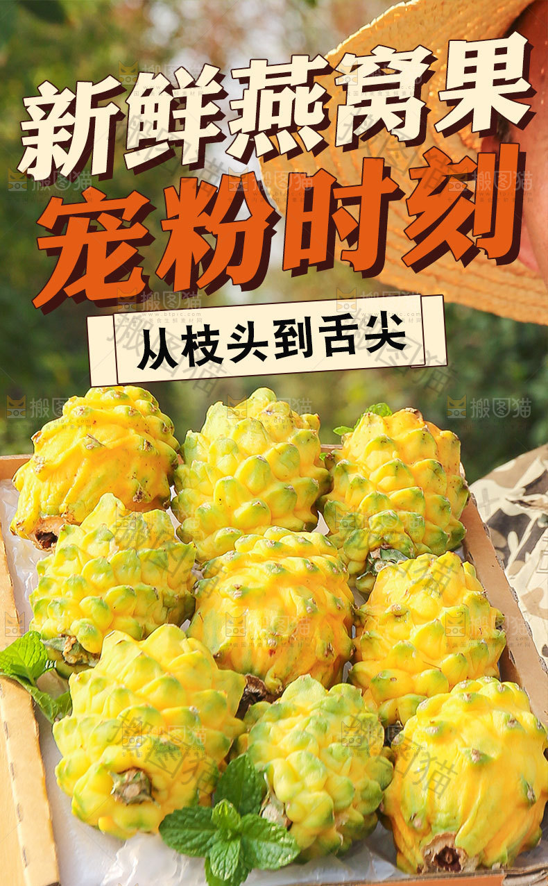 燕窝果详情页设计