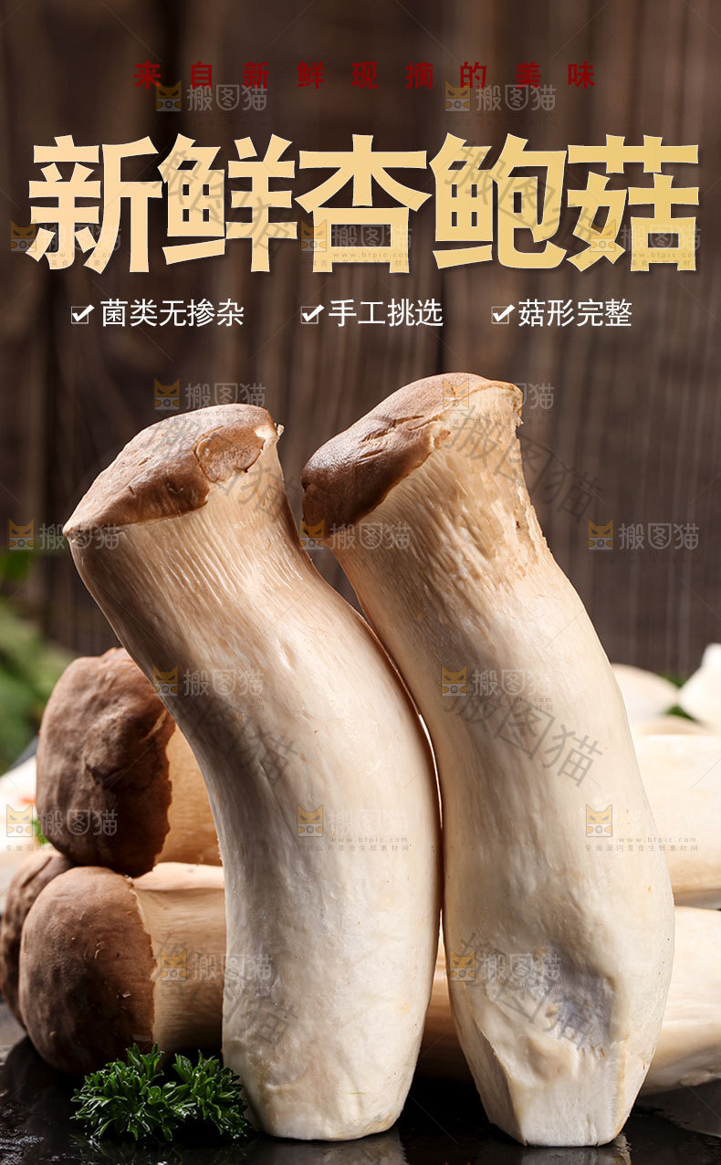 新鲜杏鲍菇详情页
