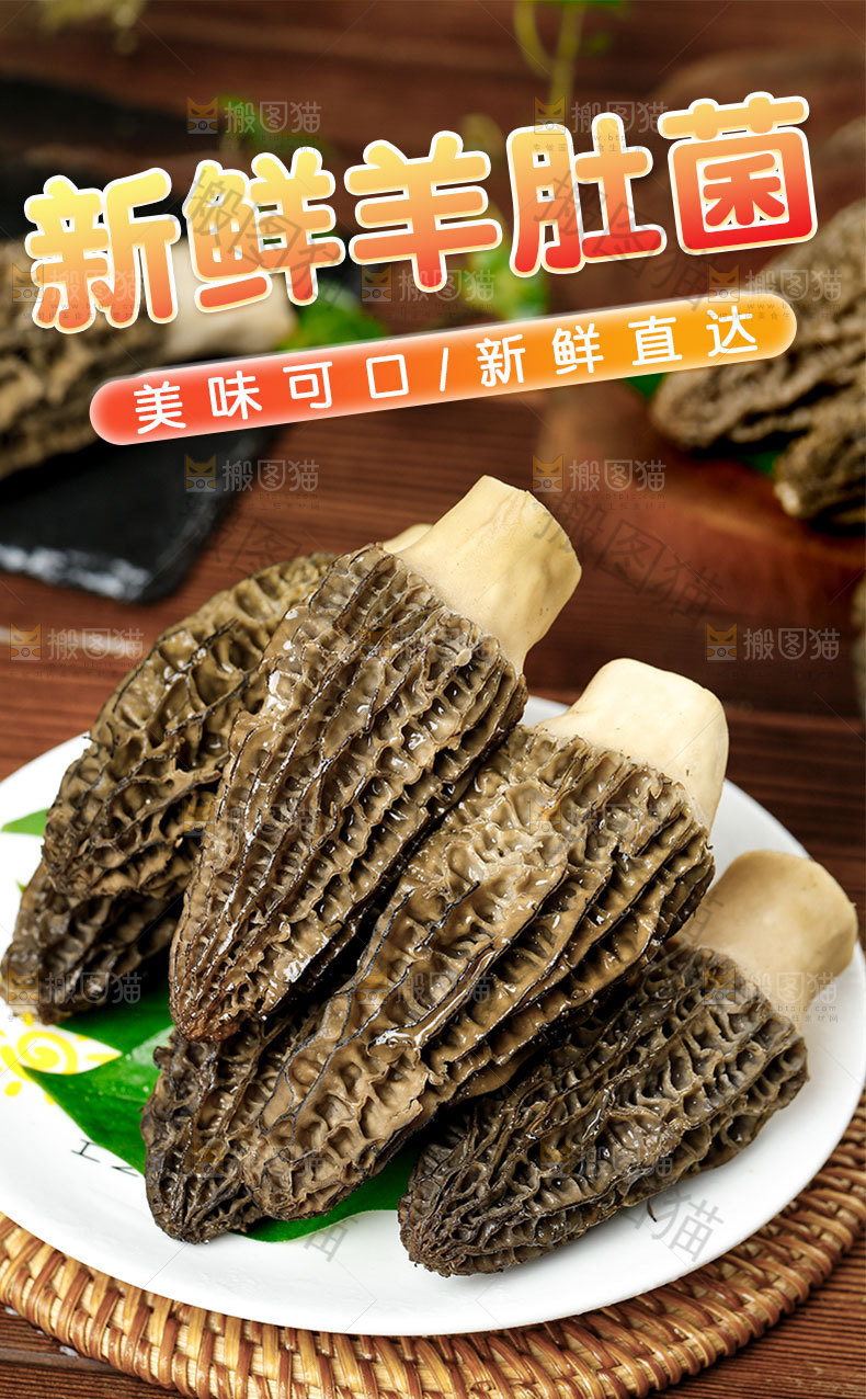 羊肚菜详情页