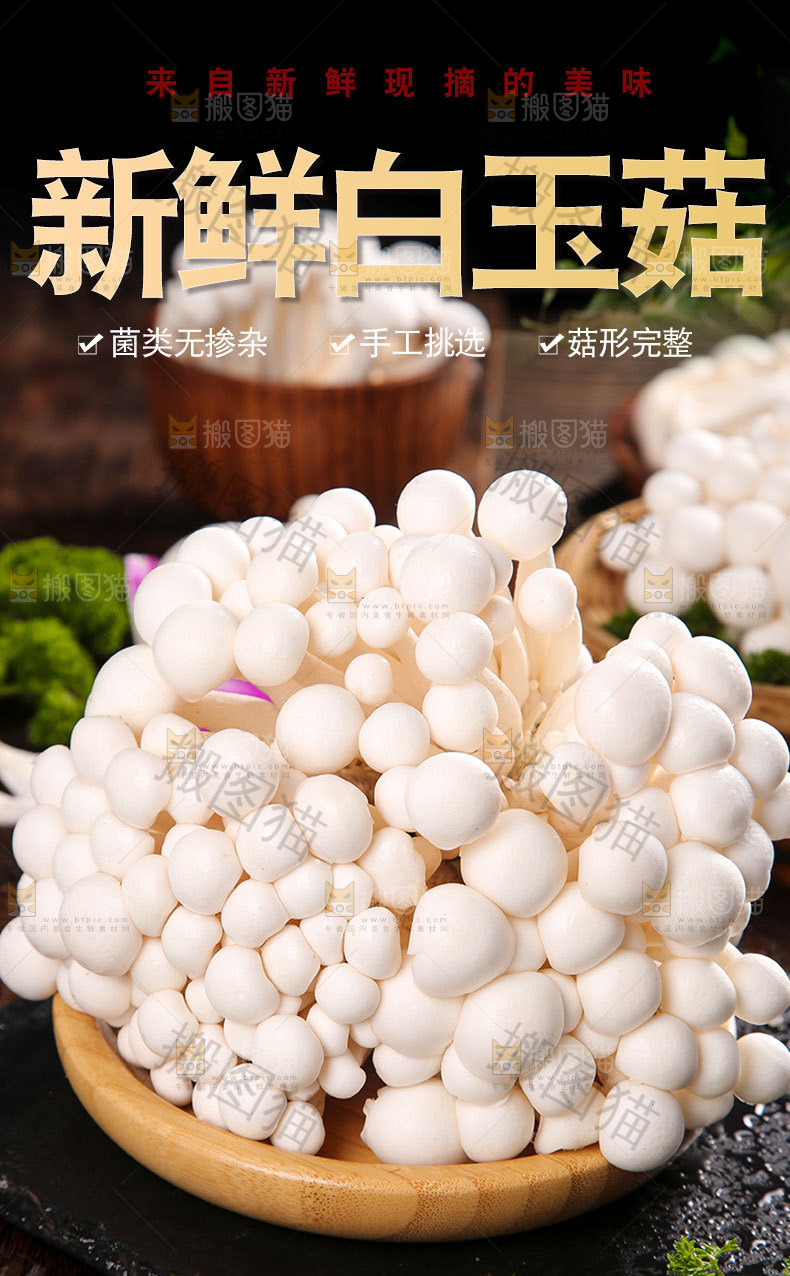 白玉菇详情页