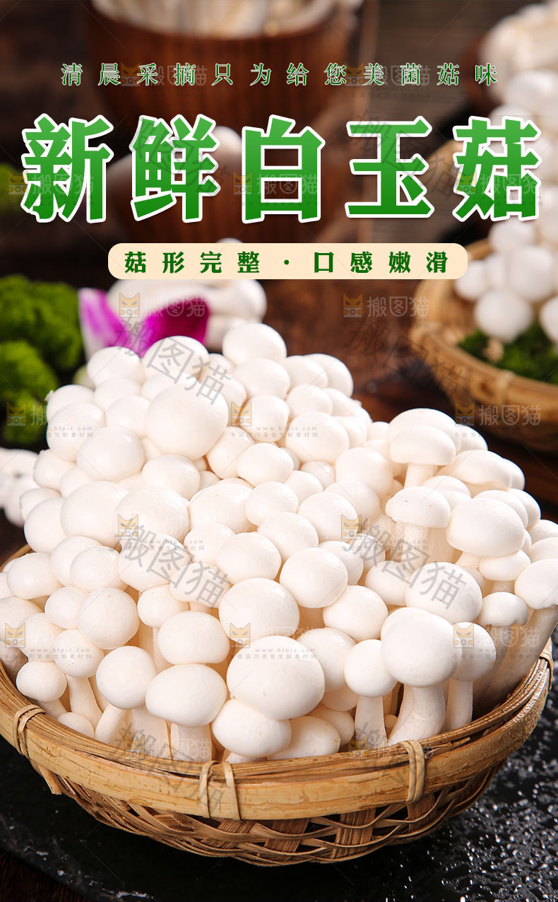 新鲜白玉菇详情页