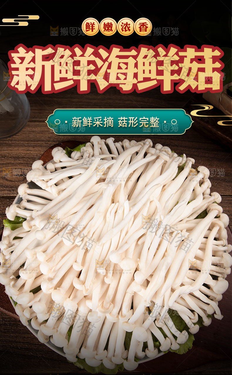 新鲜海鲜菇详情