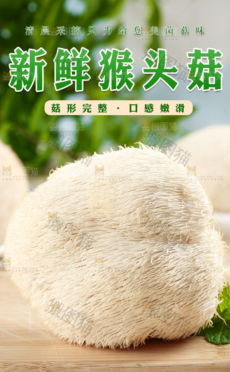 猴头菇详情页
