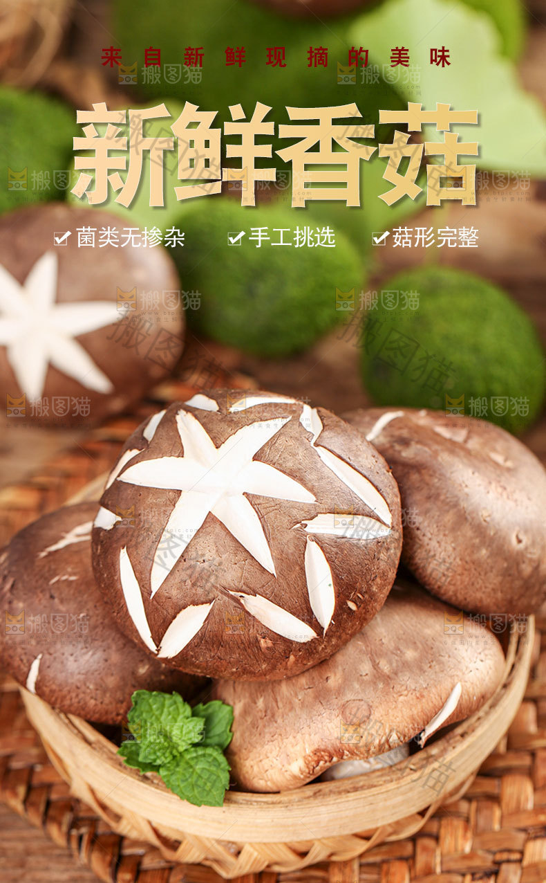 香菇详情页设计