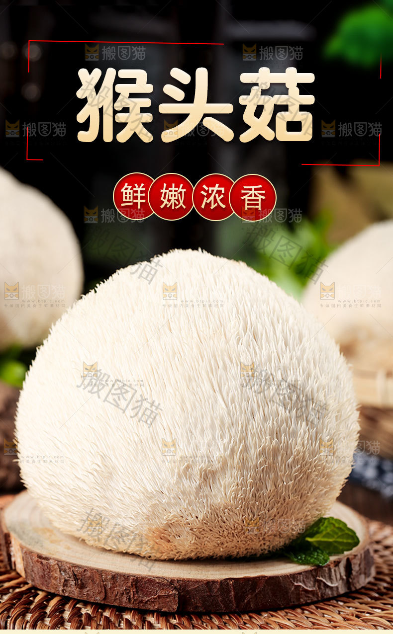 猴头菇详情页