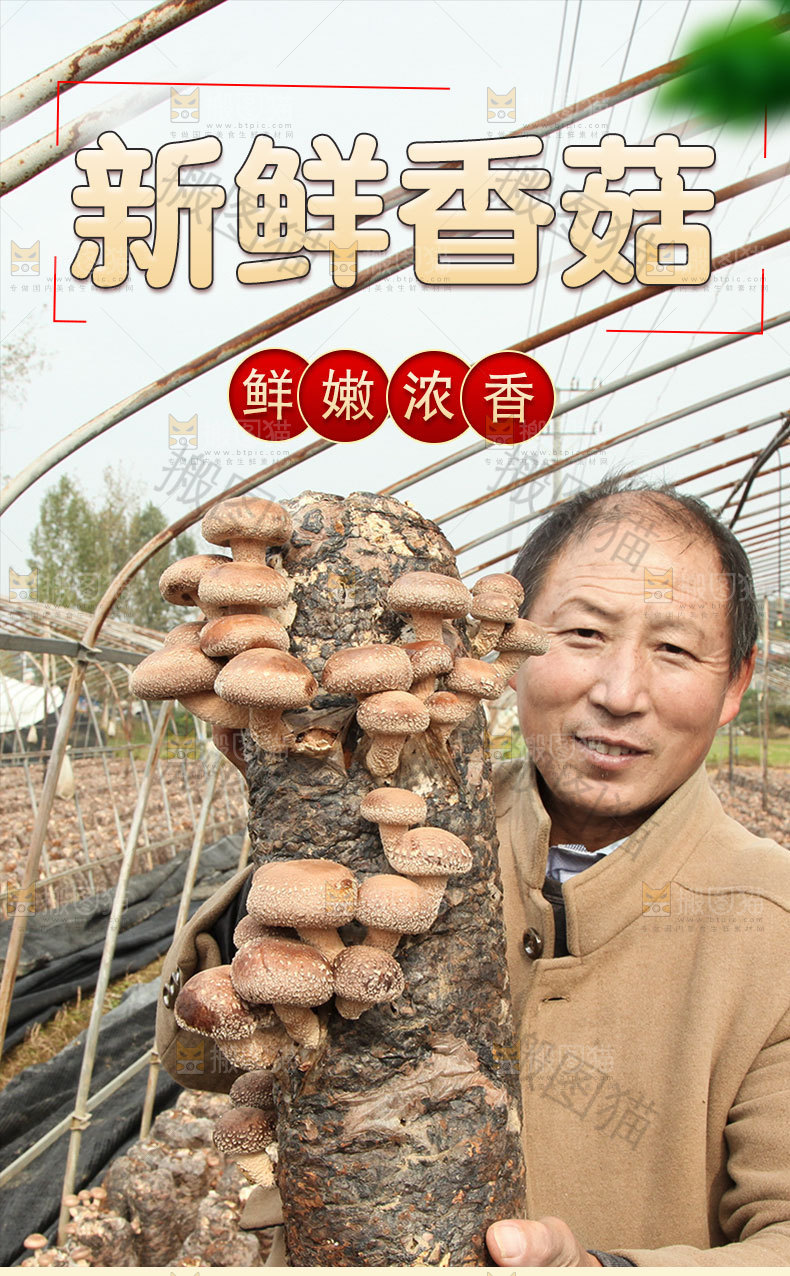 香菇详情页设计