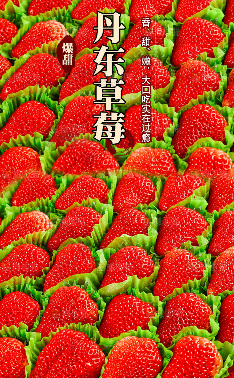 丹东草莓详情页