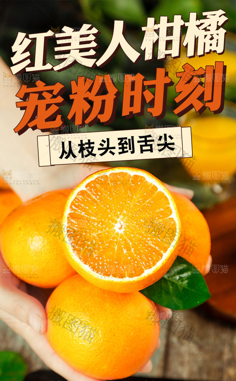 红美人柑橘详情