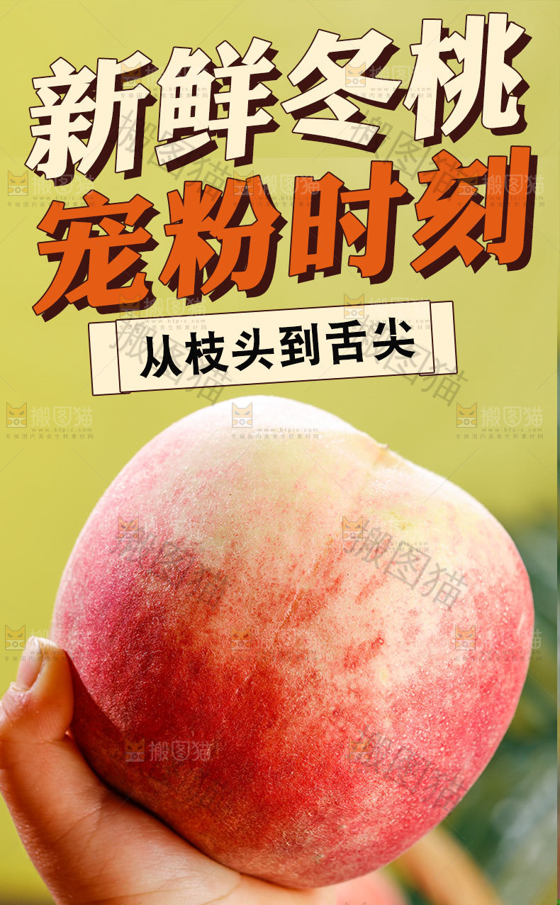 新鲜冬桃详情页