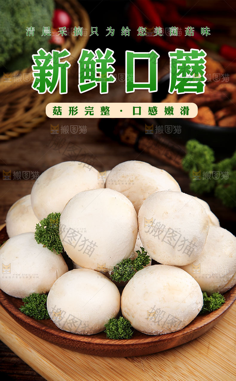 新鲜口蘑详情页