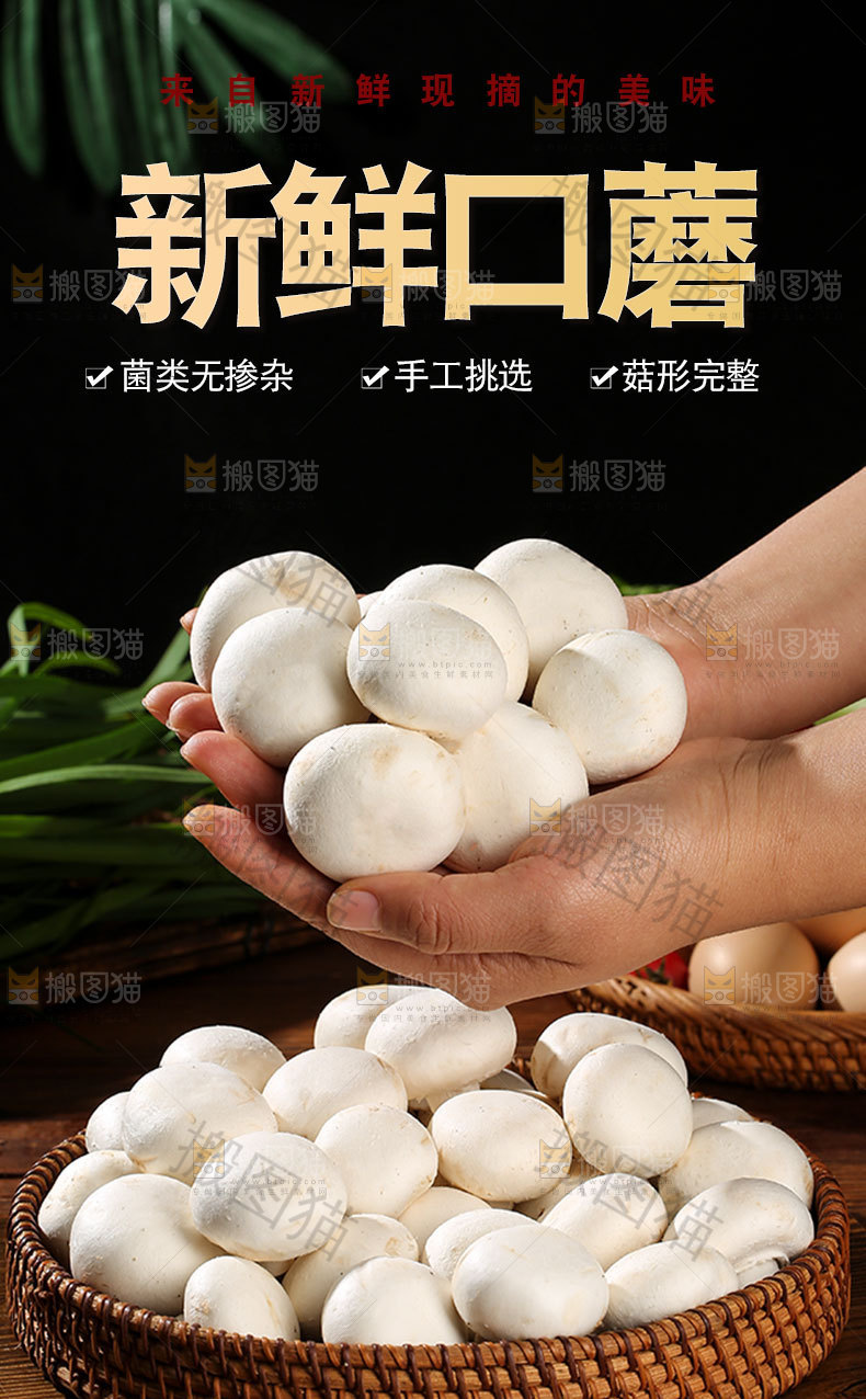 口蘑详情页设计